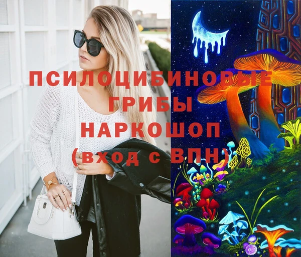 прущий лед Белокуриха